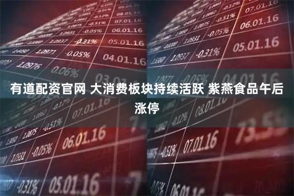 有道配资官网 大消费板块持续活跃 紫燕食品午后涨停