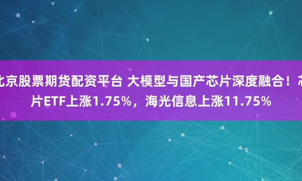 北京股票期货配资平台 大模型与国产芯片深度融合！芯片ETF上涨1.75%，海光信息上涨11.75%