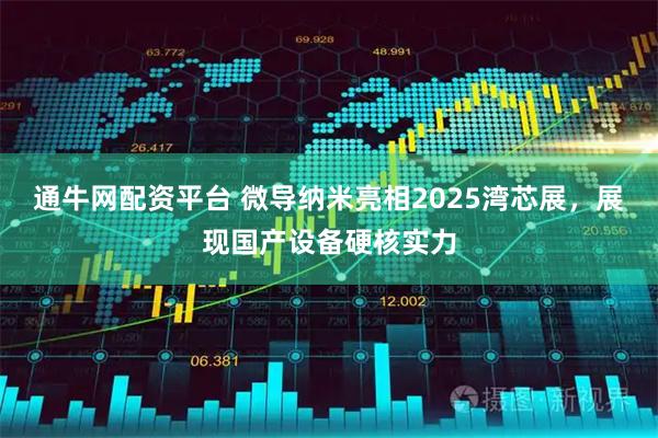 通牛网配资平台 微导纳米亮相2025湾芯展，展现国产设备硬核实力