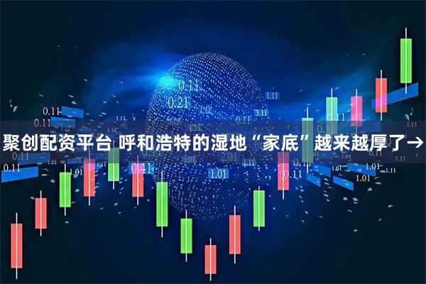 聚创配资平台 呼和浩特的湿地“家底”越来越厚了→