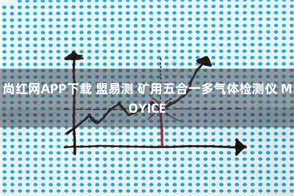 尚红网APP下载 盟易测 矿用五合一多气体检测仪 MOYICE