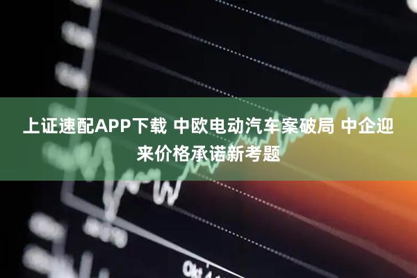 上证速配APP下载 中欧电动汽车案破局 中企迎来价格承诺新考题
