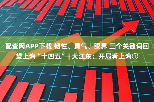 配查网APP下载 韧性、勇气、眼界 三个关键词回望上海“十四五” | 大江东：开局看上海①