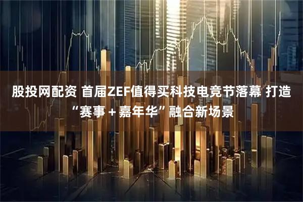 股投网配资 首届ZEF值得买科技电竞节落幕 打造“赛事＋嘉年华”融合新场景