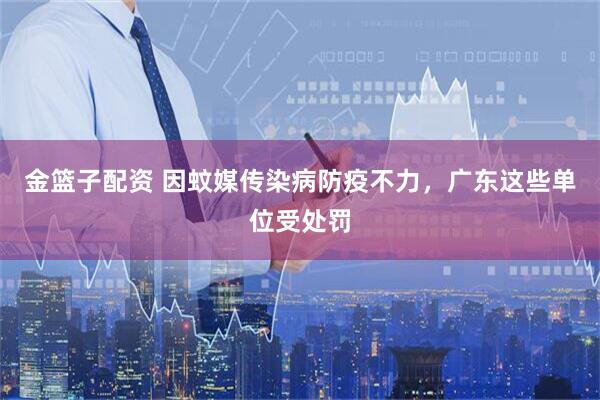 金篮子配资 因蚊媒传染病防疫不力，广东这些单位受处罚